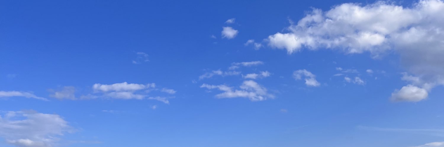 Logibearx's profile banner image