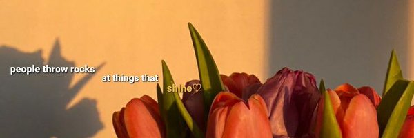 riginsane Profile Banner
