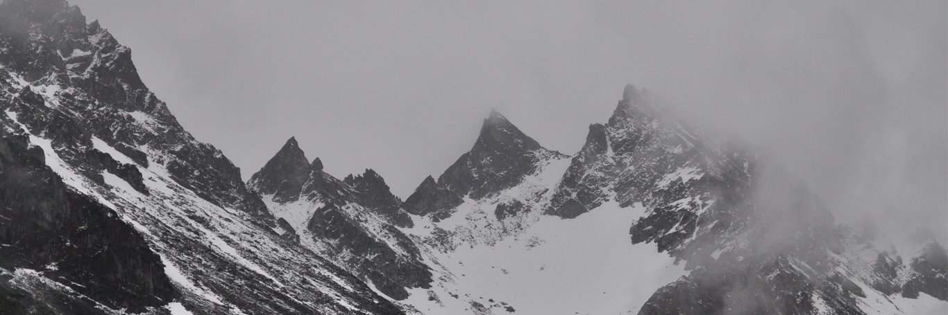 NaaYvshNe's profile banner image