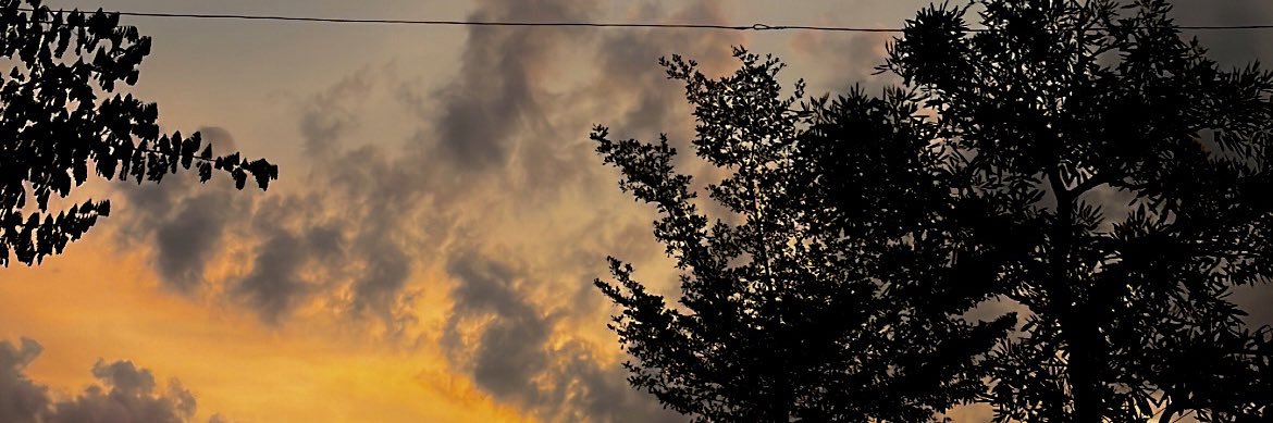 farindrk's profile banner image
