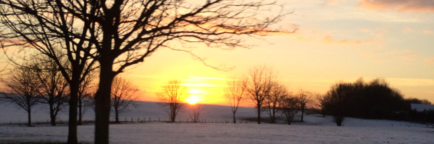 peachest's profile banner image