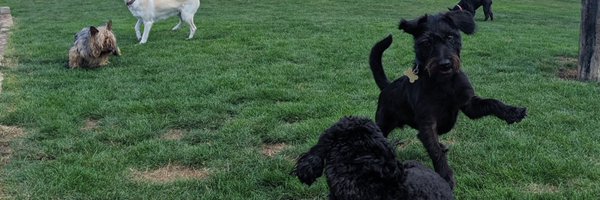 JackUnofficial Profile Banner