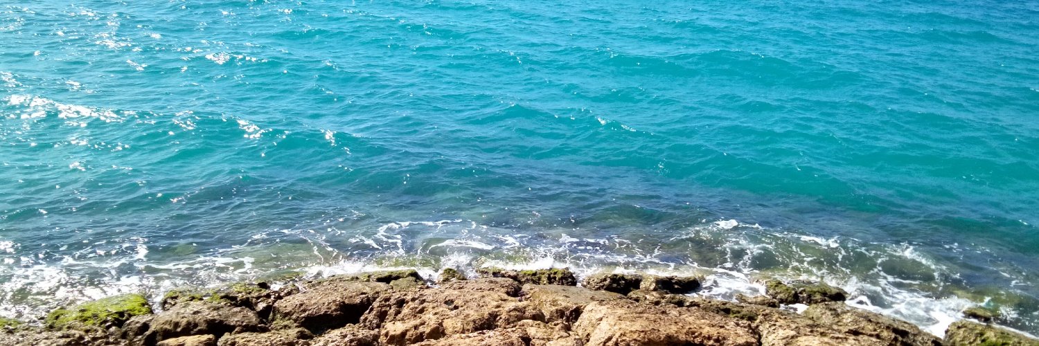 ﾁｬｵﾐ☆ banner