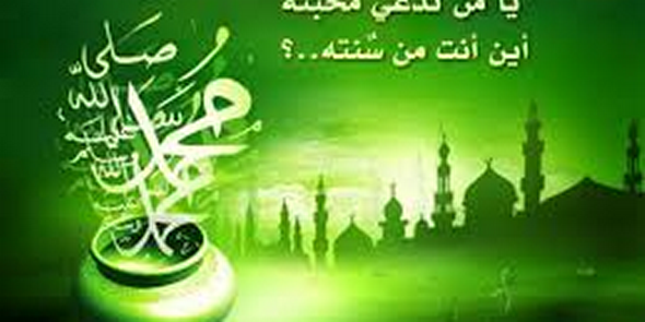 237263's profile banner image