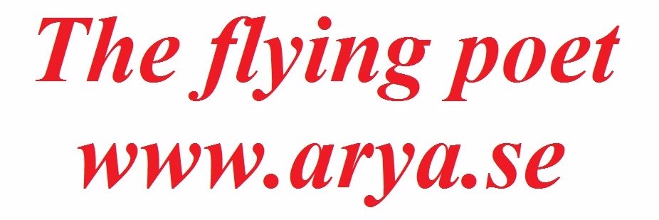 FlyingPoet's profile banner image
