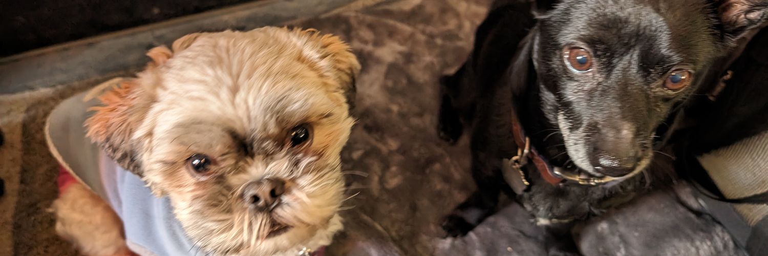 lupegjo's profile banner image