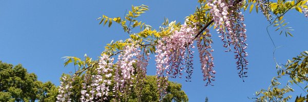 tamagon2011 Profile Banner