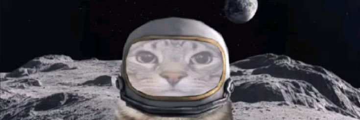 Bau banner