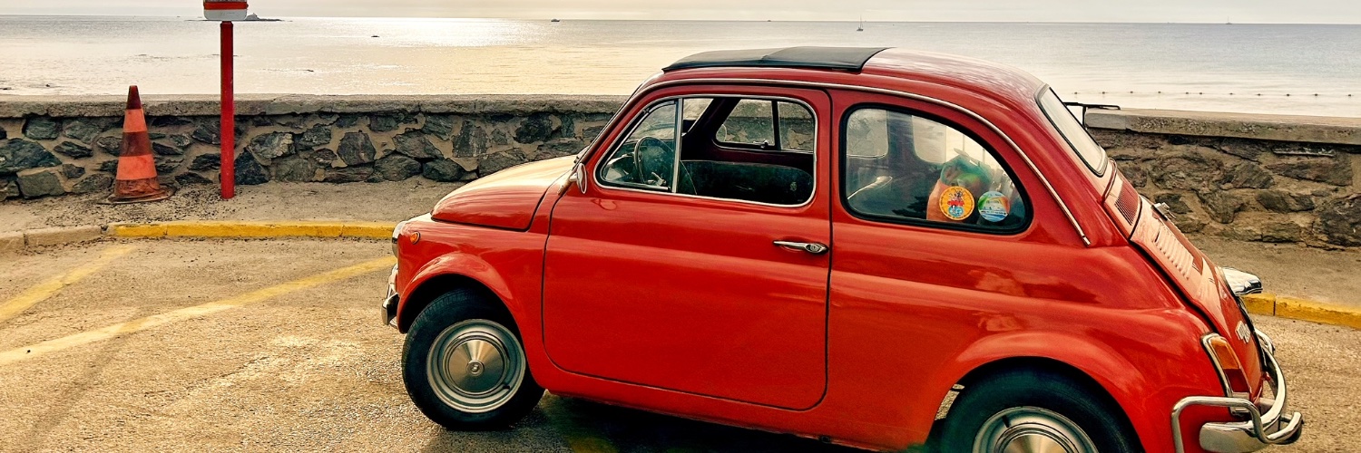 Sarah Scaparone banner