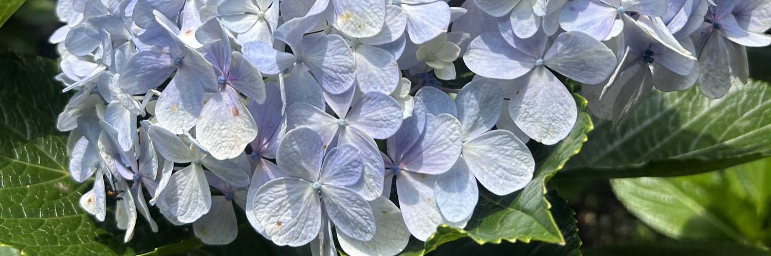 brii_ee's profile banner image