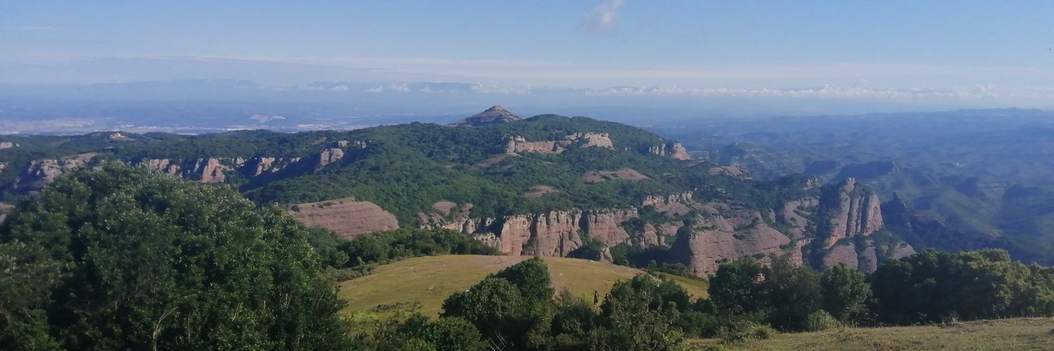 Genís Ribé Monge banner
