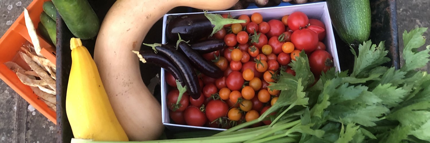 Clare Matterson banner