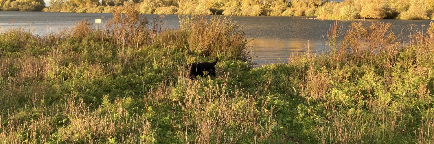 Majolijn Mutters banner