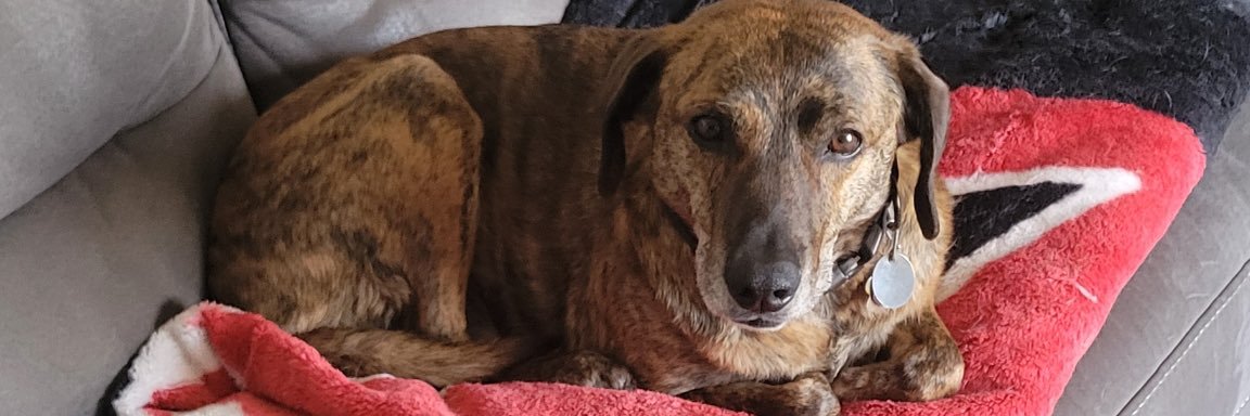 meg (inactive til tbd) banner