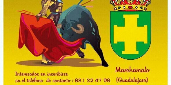 LaDivisaMarcha's profile banner image
