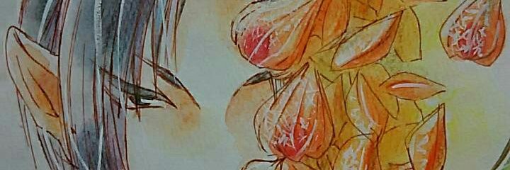 MegOekaki's profile banner image