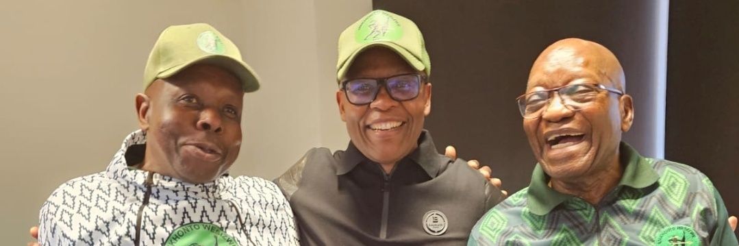 Mzwanele Manyi MP's banner