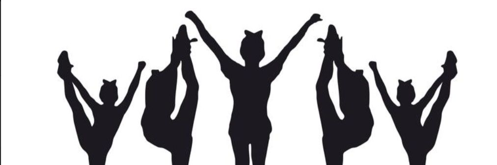 pepeAAP's profile banner image