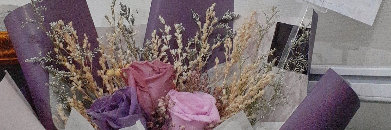 halfsug's profile banner image