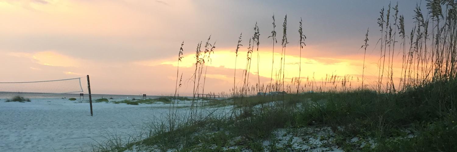 mododd731's profile banner image