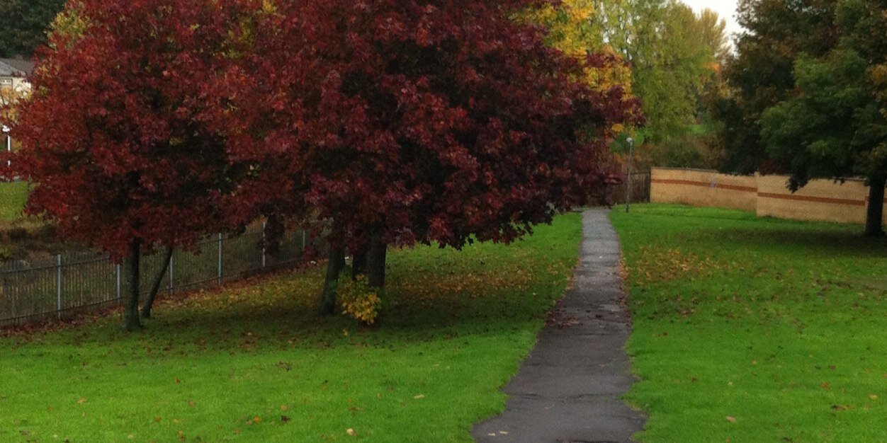RGorman123's profile banner image