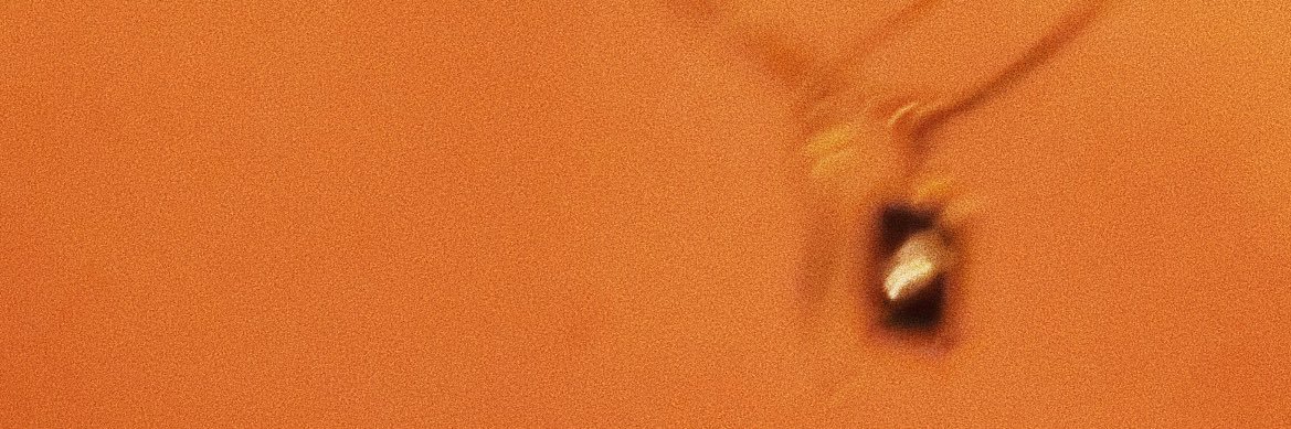 BoswellVeronica's profile banner image