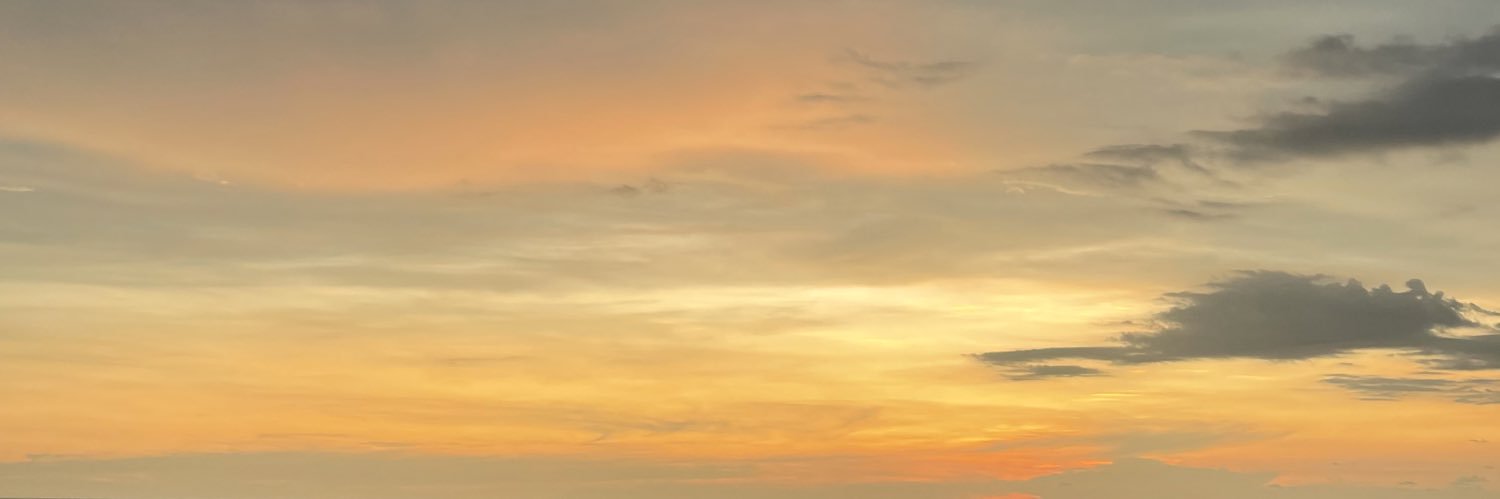 NanKing13's profile banner image