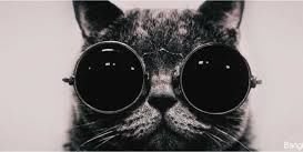 novaaRz's profile banner image