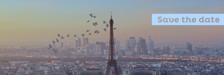 SpineParis's profile banner image