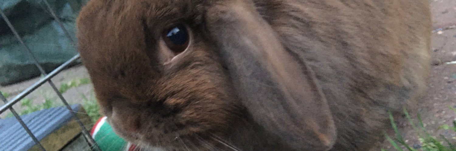 han_barber's profile banner image