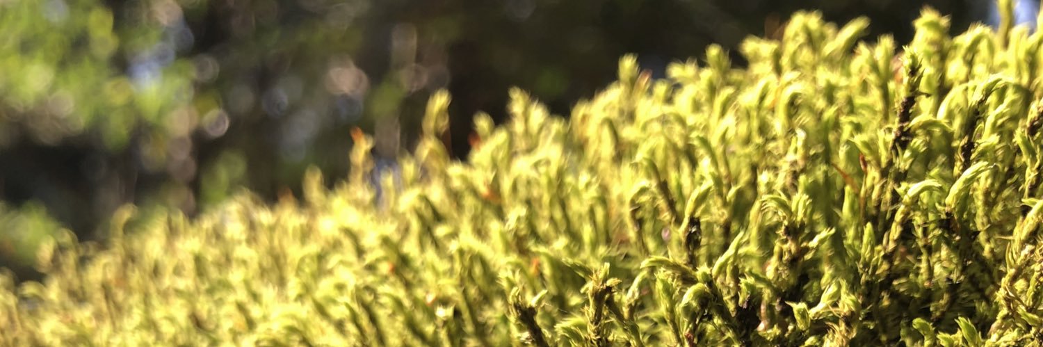 TokyoSimplelife's profile banner image