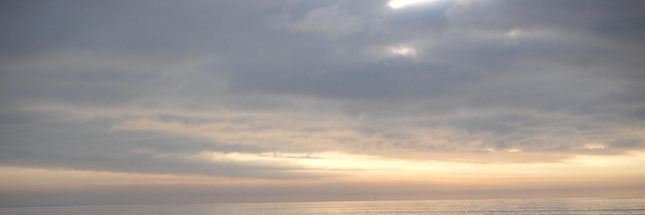 TytoAlbaMI's profile banner image