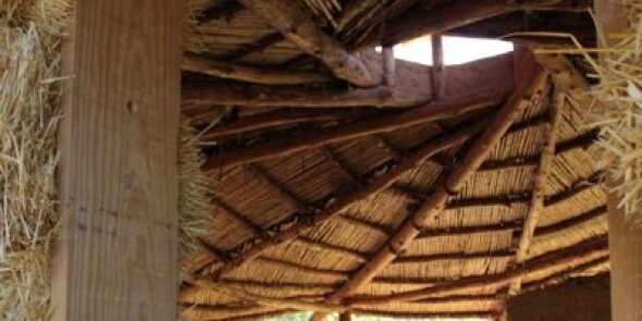 okambuva.coop banner