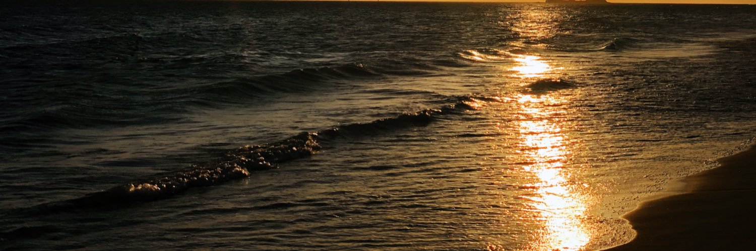 ccaparros_'s profile banner image