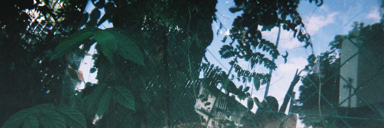 neiuruw's profile banner image