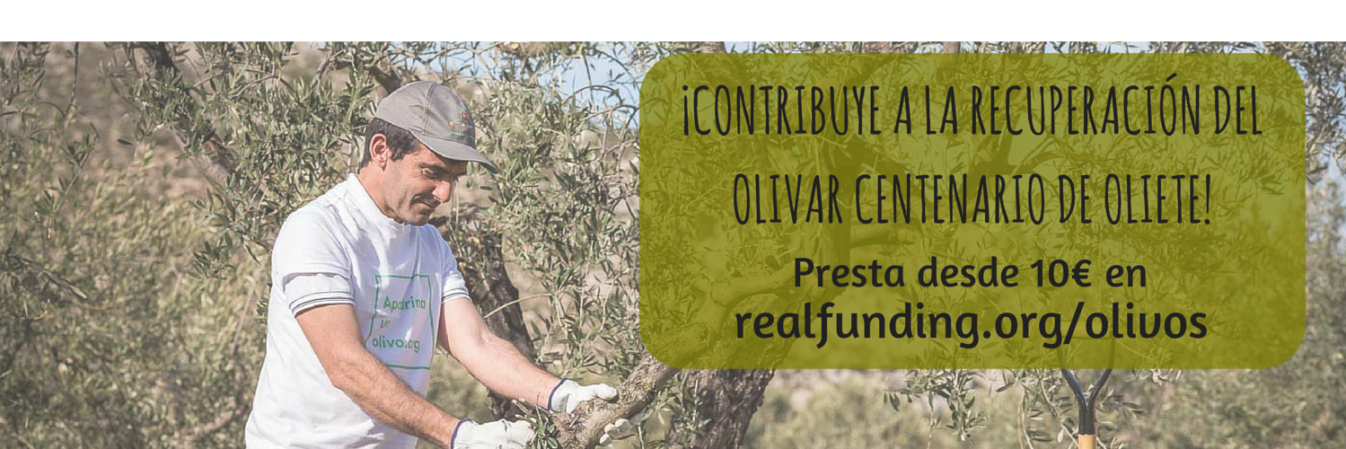 RealFunding_org's profile banner image