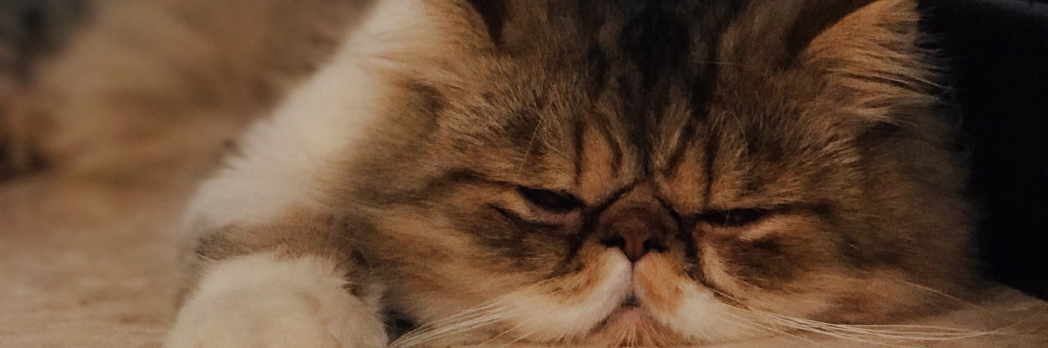 elsaindira's profile banner image
