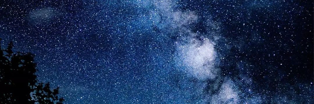 Swaggintonz's profile banner image