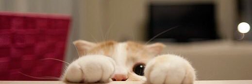 bubblehetad's profile banner image