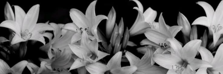 edasevdiil's profile banner image