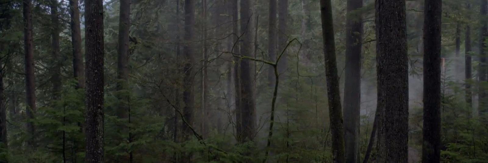 spookpumpkaboo's profile banner image