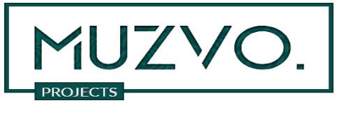 Muzvo Projects banner