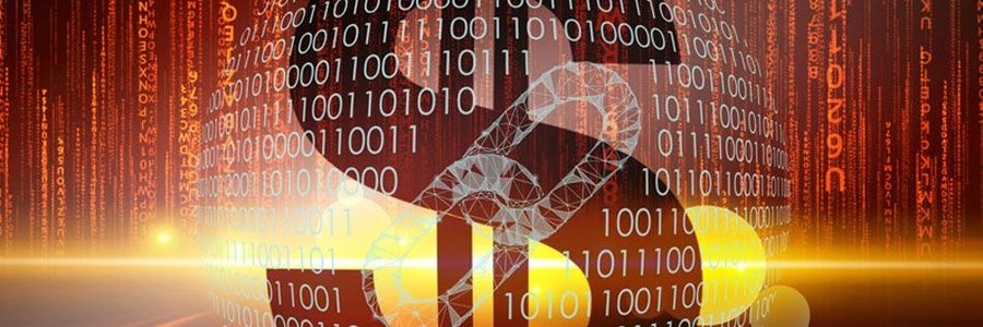 CryptoNFTFans's profile banner image