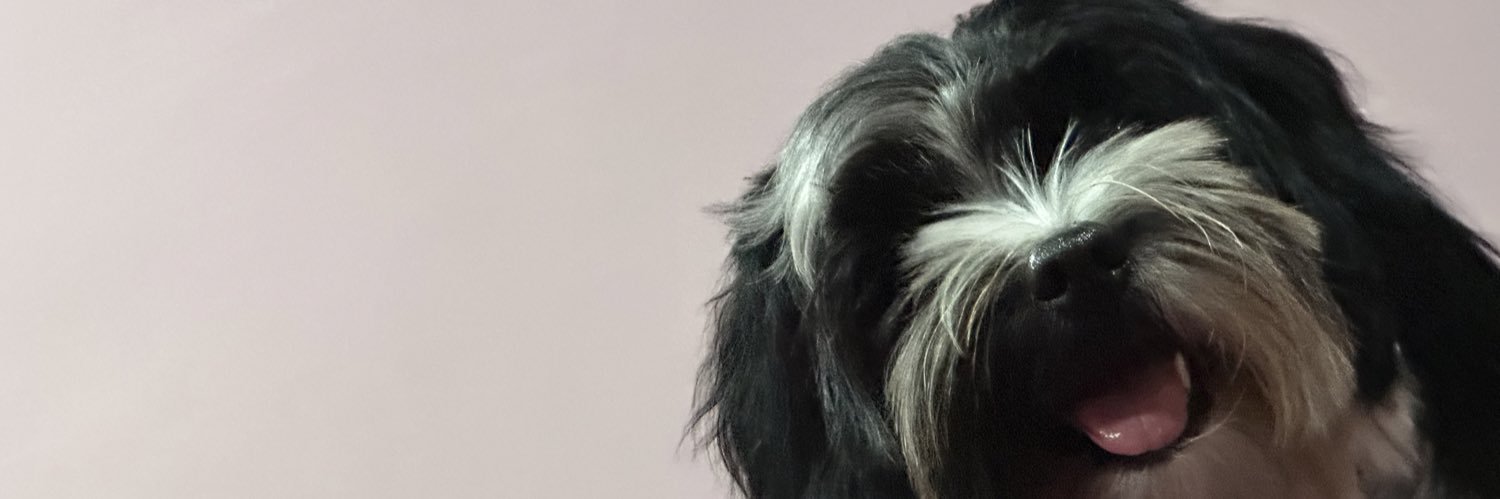 merleneannee's profile banner image