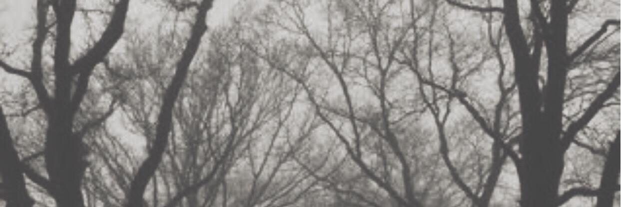 pizzharrys's profile banner image