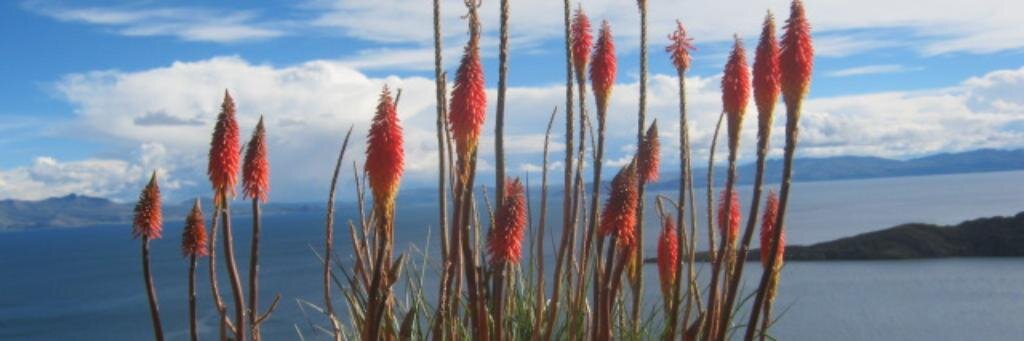 RINCONCLAUDIA1's profile banner image