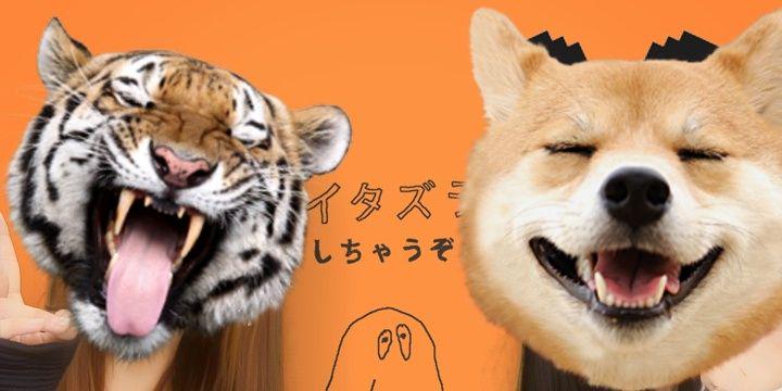 bkhk0327's profile banner image