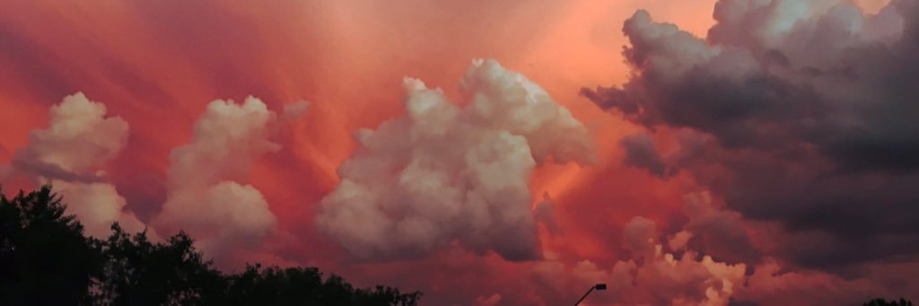 LaurenLinehan44's profile banner image