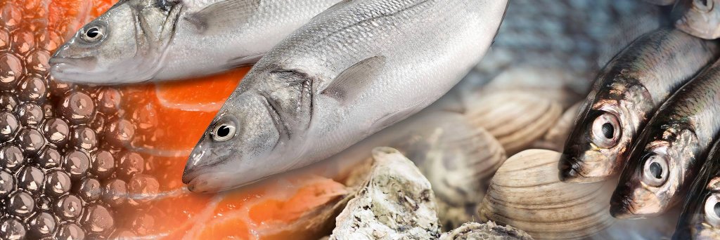 ATLSEAFOOD's profile banner image