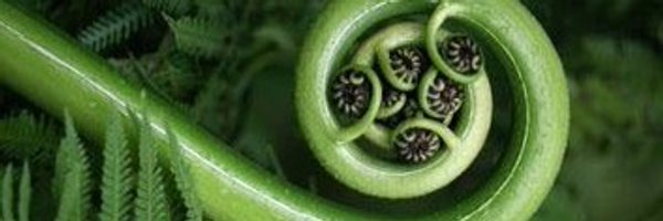 o4morgen Profile Banner